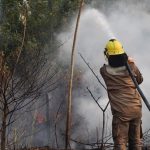 em-dois-meses,-bombeiros-combateram-mais-de-4.200-focos-de-incendios-no-amazonas