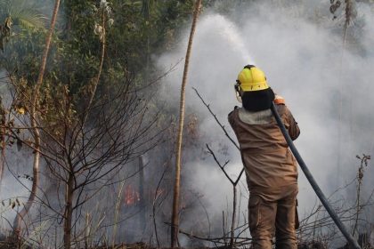 em-dois-meses,-bombeiros-combateram-mais-de-4.200-focos-de-incendios-no-amazonas