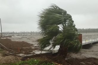 furacao-debby-faz-ressurgir-pacotes-de-cocaina-em-praia-da-florida