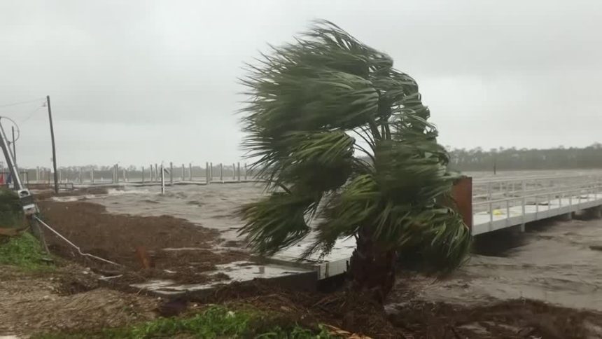 furacao-debby-faz-ressurgir-pacotes-de-cocaina-em-praia-da-florida