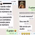 atriz-lilia-cabral-e-tietada-apos-tentativa-de-golpe-pelo-whatsapp;-veja-as-mensagens