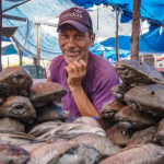 estudo-revela-que-cultivo-de-peixes-na-amazonia-deve-crescer-apenas-5%-em-dez-anos