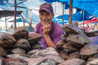 estudo-revela-que-cultivo-de-peixes-na-amazonia-deve-crescer-apenas-5%-em-dez-anos