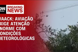 waack:-condicoes-meteorologicas-podem-ter-formado-gelo-em-aviao-em-vinhedo