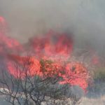 incendio-florestal-descontrolado-desloca-moradores-de-atenas 