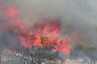 incendio-florestal-descontrolado-desloca-moradores-de-atenas 