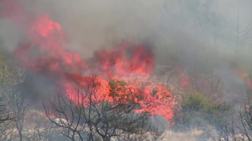 incendio-florestal-descontrolado-desloca-moradores-de-atenas 