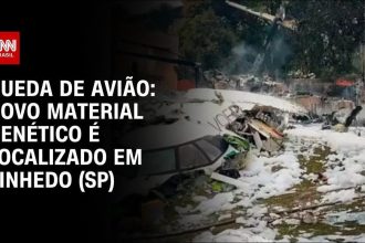 novos-restos-mortais-sao-encontrados-em-vinhedo-e-remocao-de-pertences-de-aviao-e-interrompida