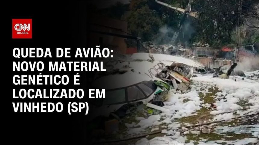 novos-restos-mortais-sao-encontrados-em-vinhedo-e-remocao-de-pertences-de-aviao-e-interrompida