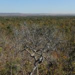 cerrado-e-caatinga-recebem-projetos-ecossociais