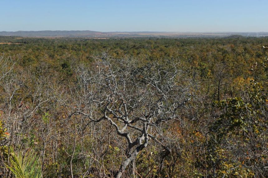 cerrado-e-caatinga-recebem-projetos-ecossociais