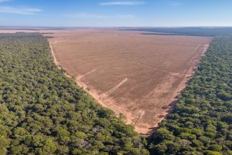 perda-historica:-brasil-teve-um-terco-dos-bens-naturais-devastados-ate-2023