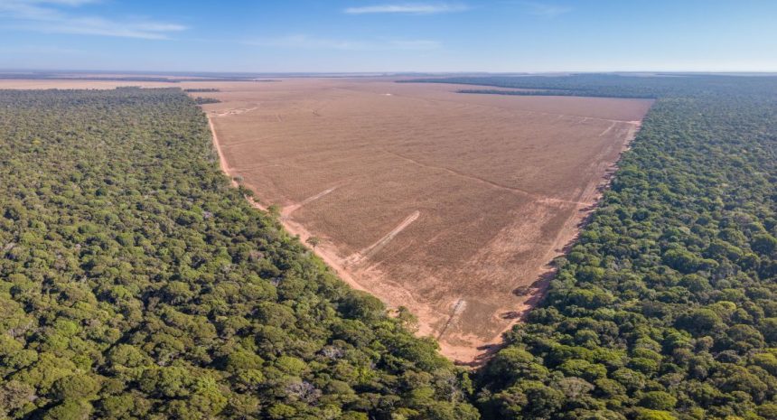 perda-historica:-brasil-teve-um-terco-dos-bens-naturais-devastados-ate-2023