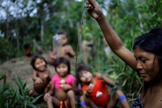 governo-libera-r$-32-milhoes-para-investimentos-em-educacao-para-os-yanomami