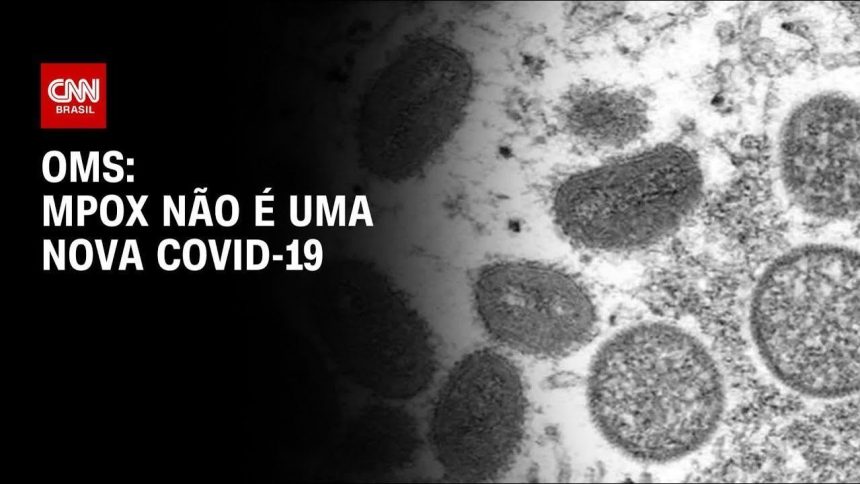 mpox:-anvisa-simplifica-regras-para-importacao-de-medicamentos-e-vacinas