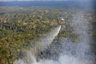 acoes-do-governo-nao-sao-suficientes-por-conta-de-queimadas-nao-naturais,-diz-secretario-de-controle-do-desmatamento