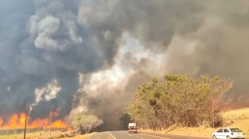 dois-funcionarios-de-usina-morrem-durante-combate-a-incendio-no-interior-paulista