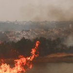 onda-de-incendios-atinge-cidades-do-interior-de-sp-e-mata-dois-funcionarios-de-usina;-nuvem-de-fumaca-chega-a-capital