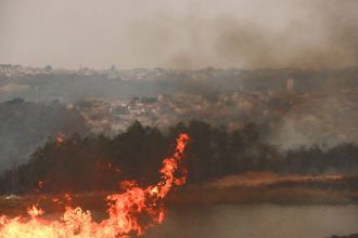 onda-de-incendios-atinge-cidades-do-interior-de-sp-e-mata-dois-funcionarios-de-usina;-nuvem-de-fumaca-chega-a-capital