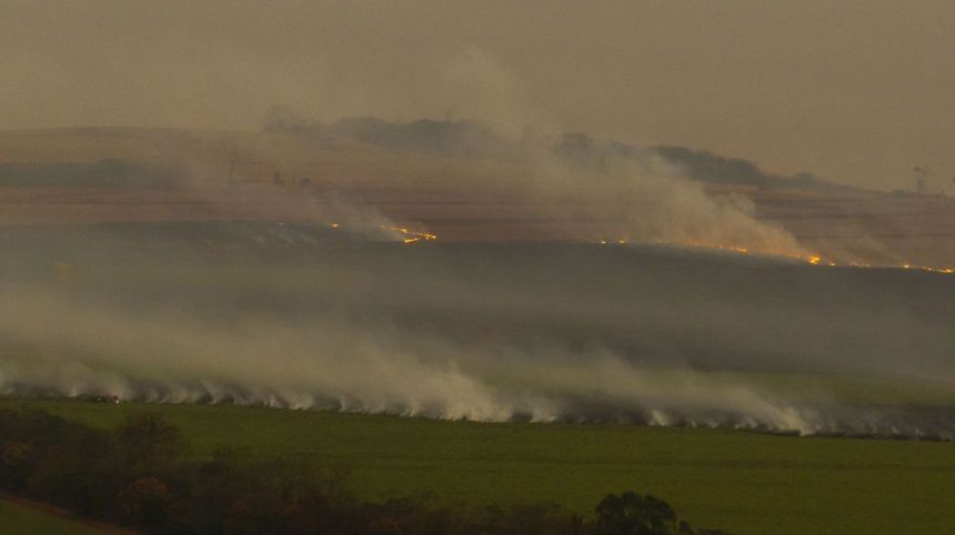 houve-acao-criminosa-em-incendios-no-interior-de-sp,-diz-tarcisio-de-freitas