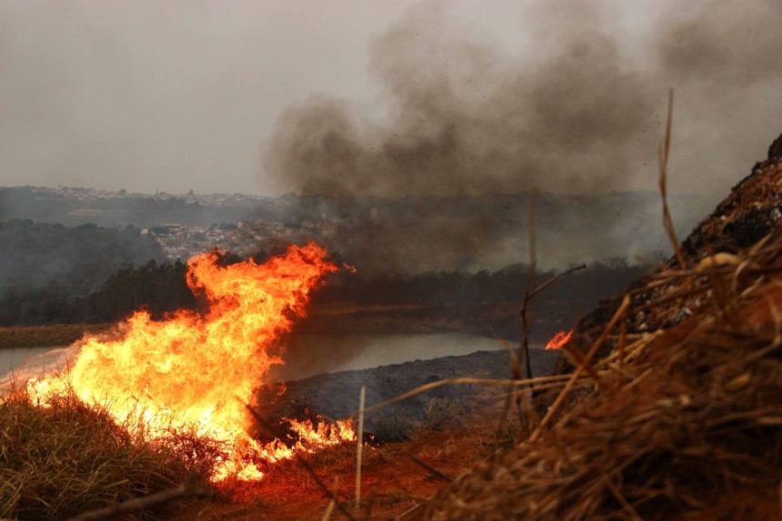 numero-de-incendios-bate-recorde-dos-ultimos-26-anos-em-sp