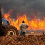 governo-de-sp-decreta-emergencia-em-municipios-atingidos-por-queimadas