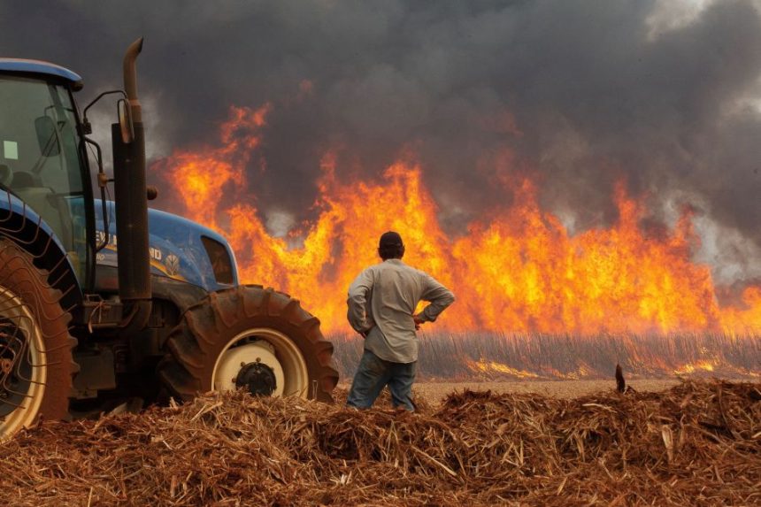 governo-federal-vai-enviar-avioes-ao-interior-de-sp-para-combater-incendios