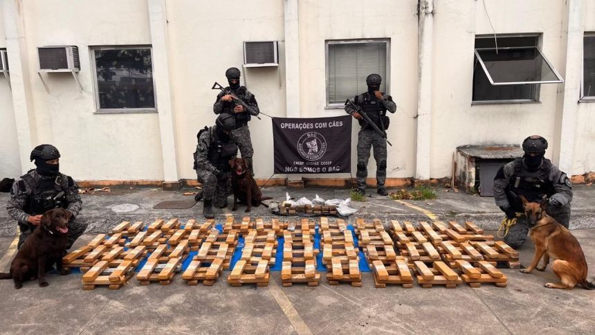 pm-apreende-uma-tonelada-de-maconha-em-escola-municipal-no-rj