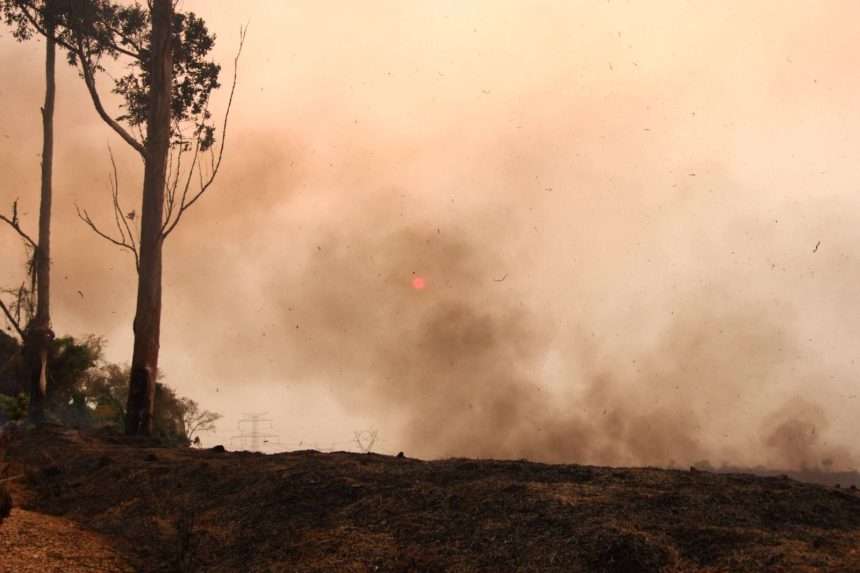 climatempo:-frente-fria-reduz-focos-de-fogo-em-sp,-mas-calor-pode-intensifica-los-novamente