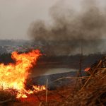 sobe-para-tres-o-numero-de-presos-por-incendios-florestais-no-interior-de-sp