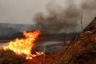 sobe-para-tres-o-numero-de-presos-por-incendios-florestais-no-interior-de-sp