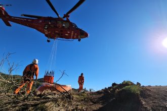 rj-registra-aumento-de-85%-nos-casos-de-incendios-florestais