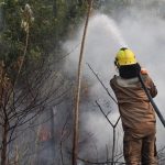 seca-no-amazonas:-mais-de-287-mil-pessoas-atingidas,-diz-governo-estadual