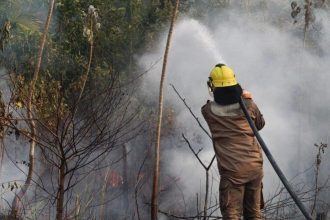 seca-no-amazonas:-mais-de-287-mil-pessoas-atingidas,-diz-governo-estadual