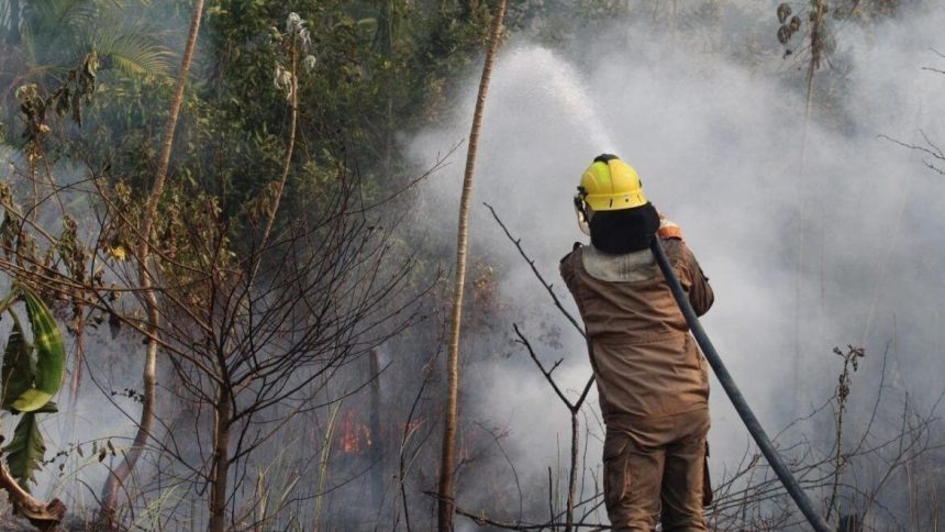 seca-no-amazonas:-mais-de-287-mil-pessoas-atingidas,-diz-governo-estadual