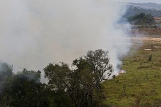 fundo-auxiliara-produtores-rurais-atingidos-por-incendios-em-sp