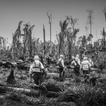 brigadista-e-encontrado-carbonizado-depois-de-desaparecer-em-combate-as-chamas-no-xingu