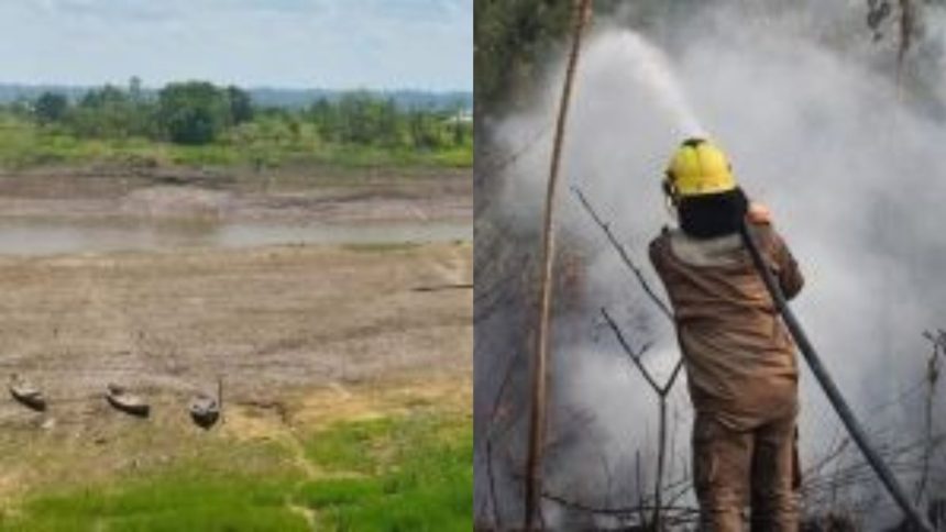 amazonas-tem-recorde-de-queimadas,-seca-antecipada-e-queda-nos-niveis-dos-rios-em-agosto