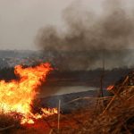 99,9%-dos-incendios-ocorridos-em-sao-paulo-foram-causados-pela-acao-humana,-diz-secretario-nacional-da-defesa-civil