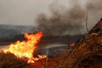 99,9%-dos-incendios-ocorridos-em-sao-paulo-foram-causados-pela-acao-humana,-diz-secretario-nacional-da-defesa-civil