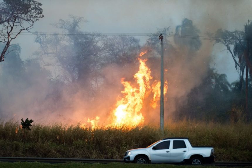 queimadas-foram-causadas-por-condicoes-climaticas-raras-e-despreparo,-diz-especialista-a-cnn