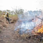 pf-abre-32-inqueritos-para-investigar-origem-de-incendios-florestais-no-pais