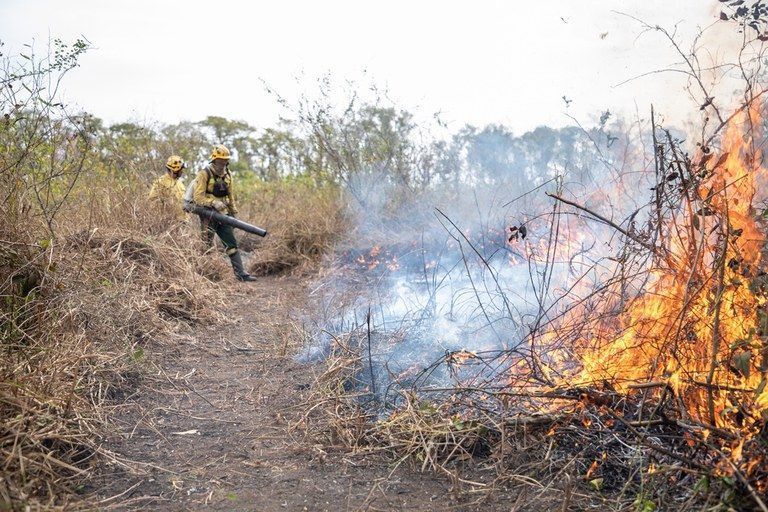 pf-abre-32-inqueritos-para-investigar-origem-de-incendios-florestais-no-pais