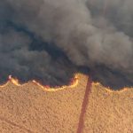 incendios-em-sp:-ministro-e-secretario-da-agricultura-falam-em-acao-criminosa