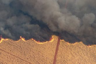 incendios-em-sp:-ministro-e-secretario-da-agricultura-falam-em-acao-criminosa