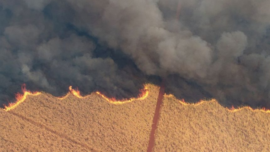 incendios-em-sp:-ministro-e-secretario-da-agricultura-falam-em-acao-criminosa