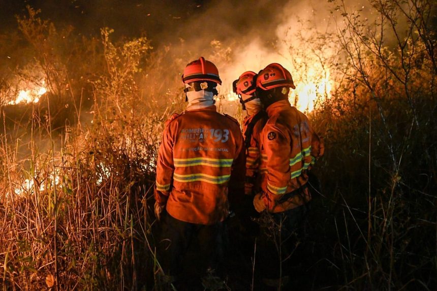 onda-de-calor-pode-trazer-novas-queimadas,-diz-presidente-do-ibama