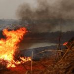 mais-um-homem-e-preso-por-envolvimento-nos-incendios-em-sp;-total-chega-a-6