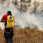 “foco-de-calor-agora-esta-no-sul-da-amazonia”,-diz-presidente-do-ibama