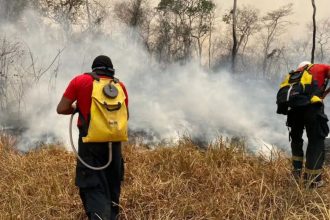 “foco-de-calor-agora-esta-no-sul-da-amazonia”,-diz-presidente-do-ibama